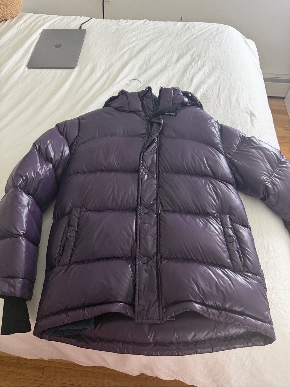 Aritzia Shiny Plum Hooded Puffer Jacket